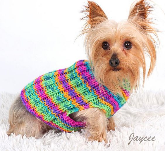 Small Dog Sweaters You Can Knit in a Flash - Sowelu Studio