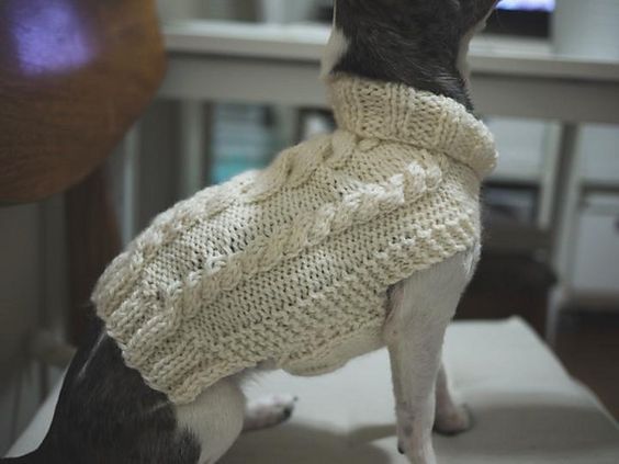 Small Dog Cable Sweater Pattern