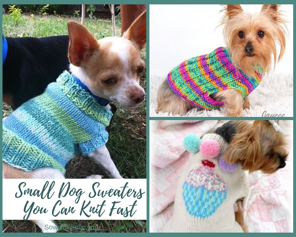 Small dog sweaters that knit up in a flash #free #knit #patterns